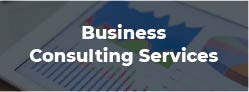 Business Consulting Services Business Consulting Services