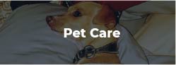 Pet Care Pet Care